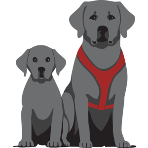 Finally Farm favicon