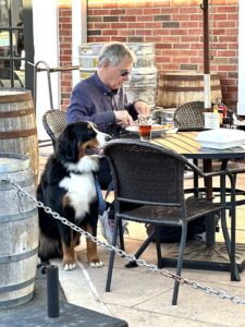 Pups at the Pub brunch